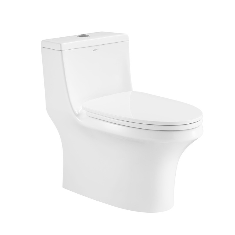 Compact One Piece Toilets Dual Flush 0.8gpf Elongated Bowl 5 Liters